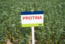 PROTINA